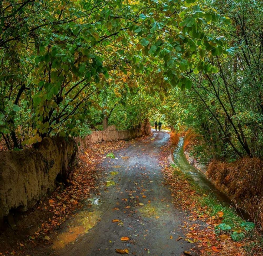 ناشناس ای دوسه یادت وخیر هرجا که هیسی